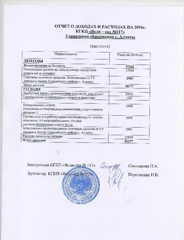 Отчет о доходах и расходах за 2016г